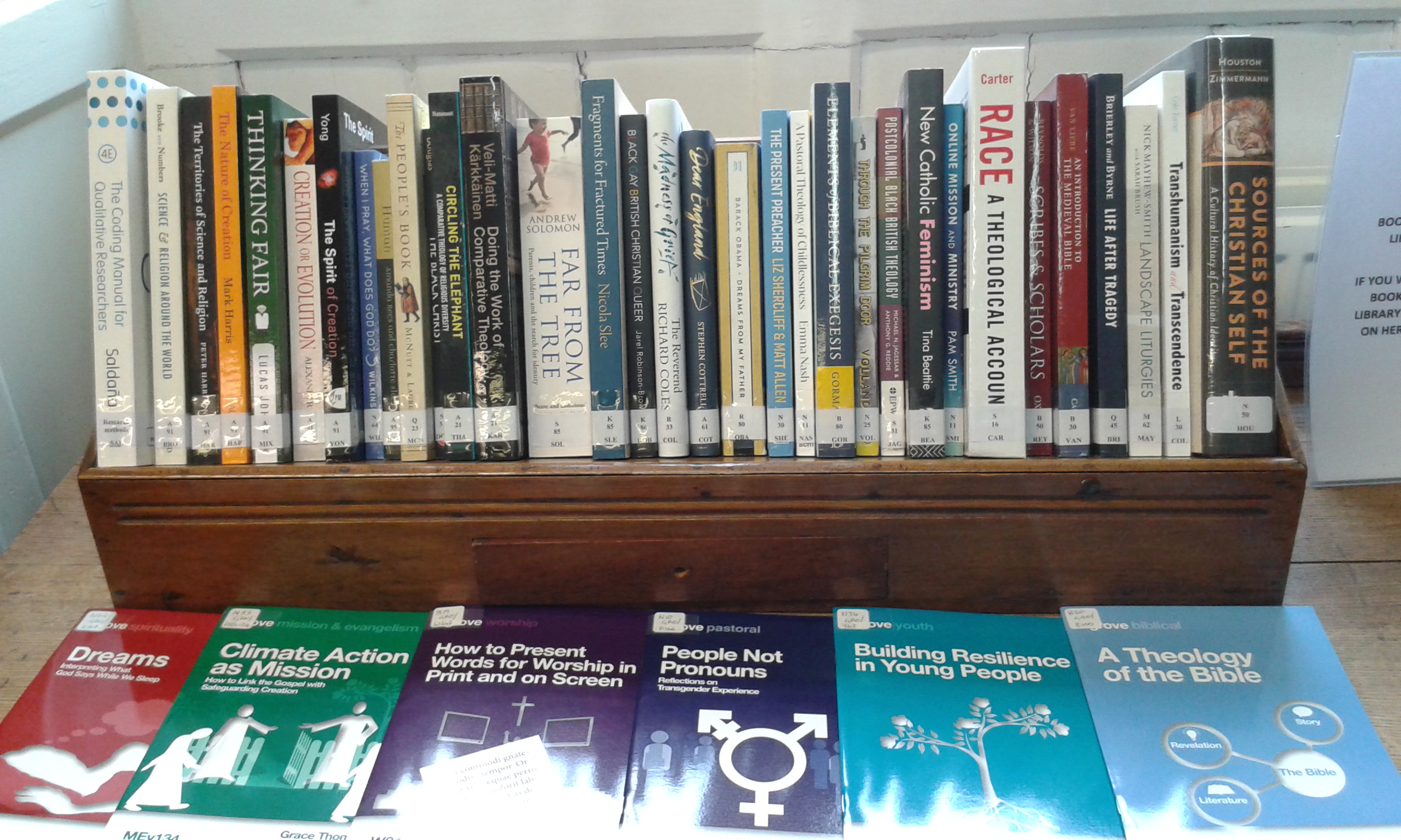 Library new acquisitions Michaelmas Term 2021 Acquisitions shelf