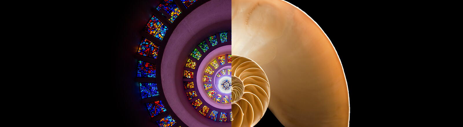 Science for Seminaries