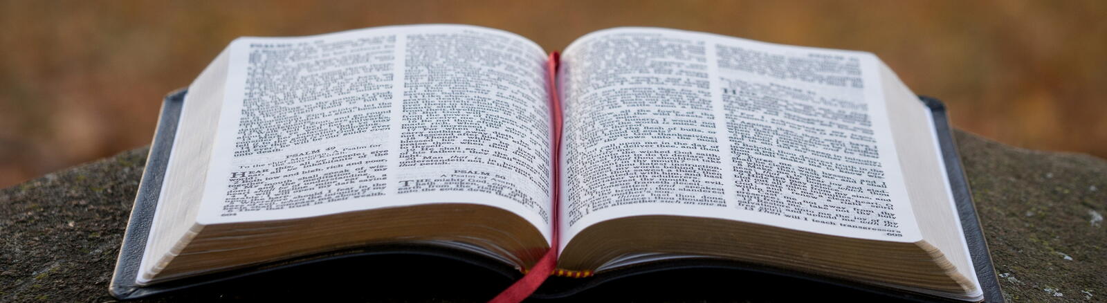 Lectio Divinia
