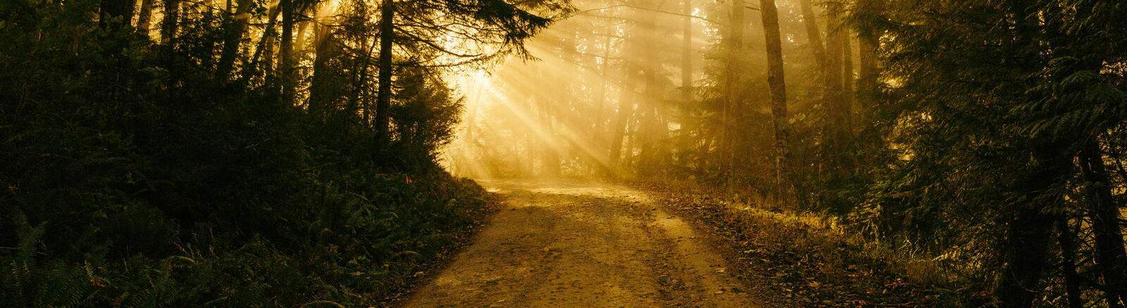 Poetry of Pilgrimage