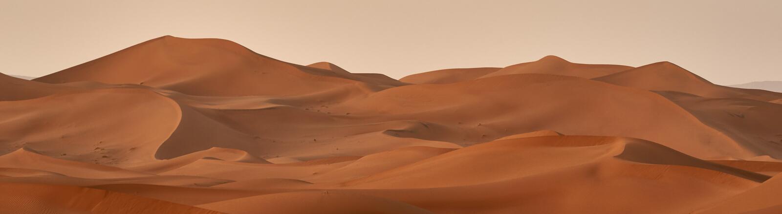Desert Fathers and Mothers