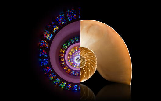 Science for Seminaries