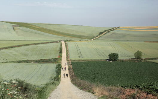 Poetry of Pilgrimage