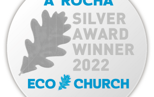 Silver Award